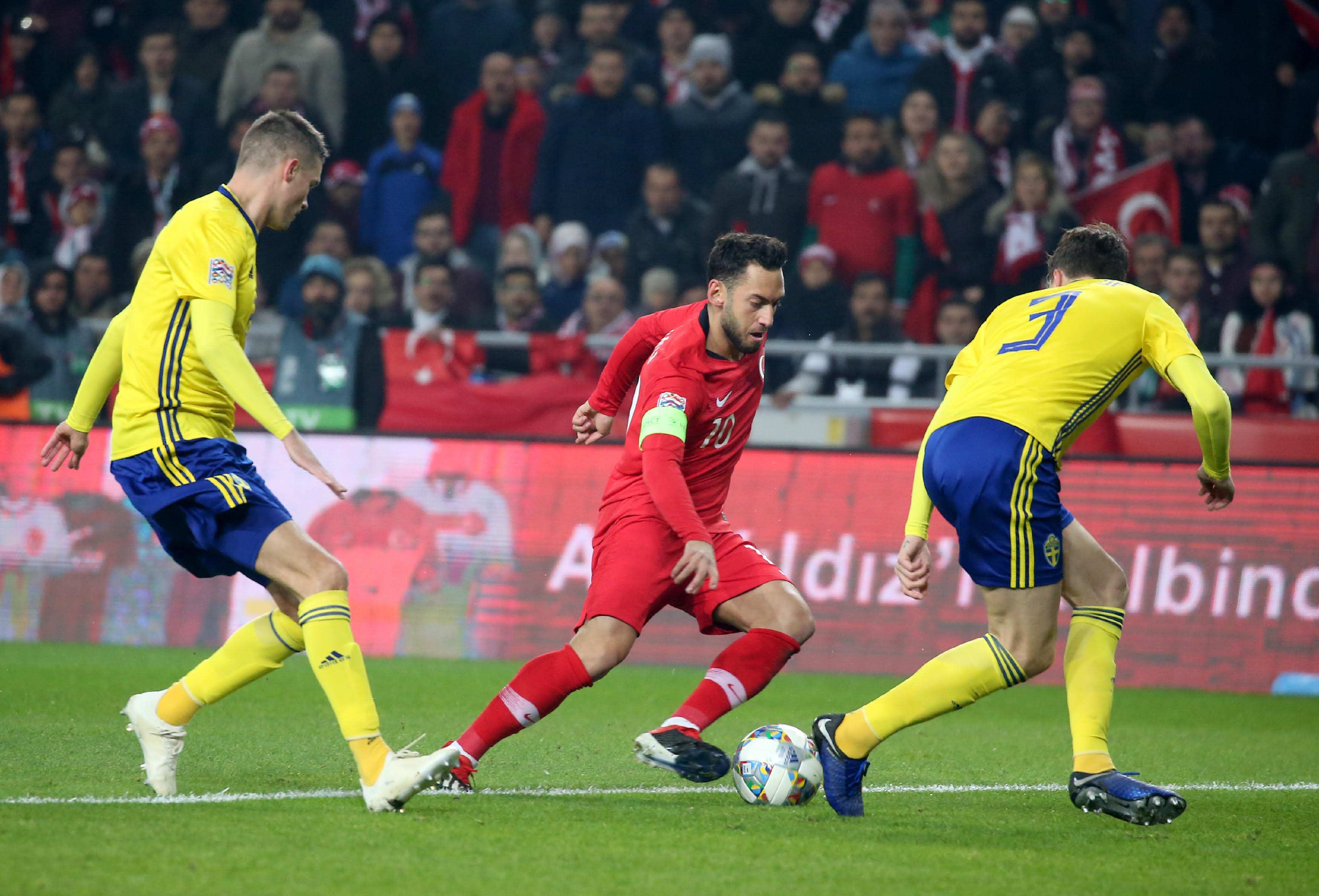 会期间的种 会期间的种