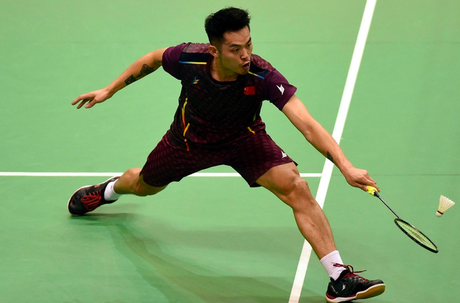 费内巴切的 费内巴切的