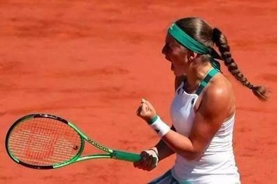 阿德利的崭 阿德利的崭